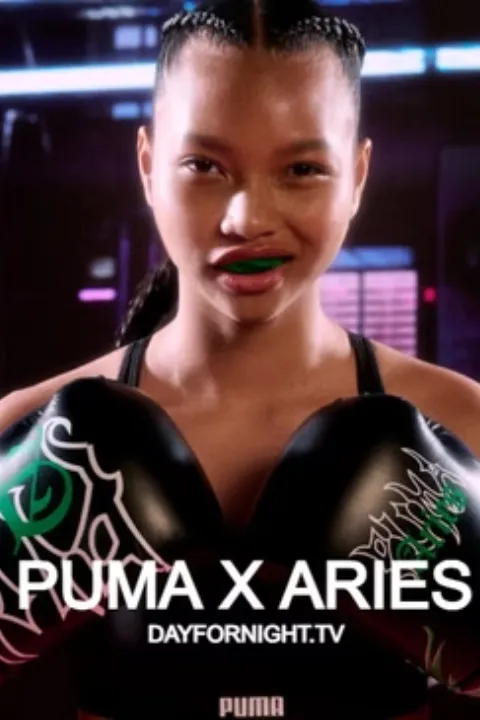 6_Puma_X_ARIES